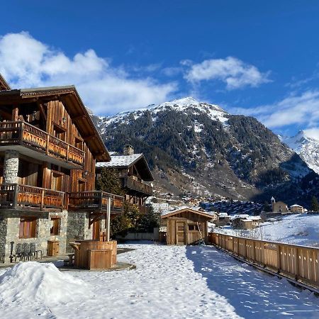 Chalet Des Trappeurs Coeur Vanoise 15 Persons Ла-Плань Экстерьер фото