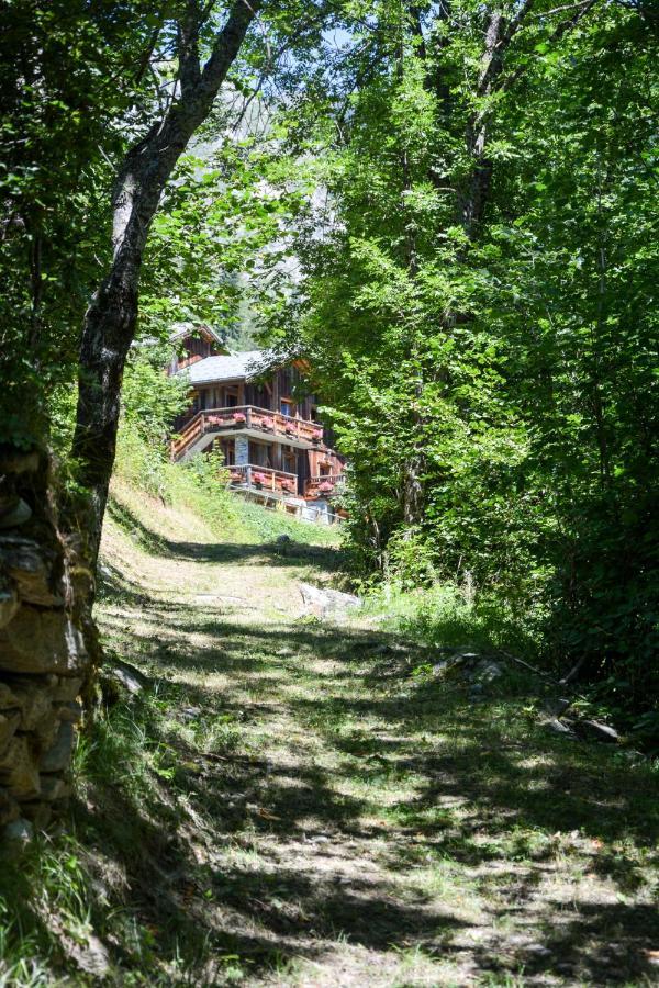 Chalet Des Trappeurs Coeur Vanoise 15 Persons Ла-Плань Экстерьер фото